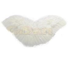 Криле на Ангел 